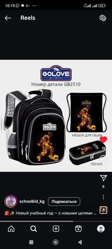 сумка рюкзак женский: Набор GOLOVE GB2510 включает в себя школьный рюкзак, мешок для обуви и