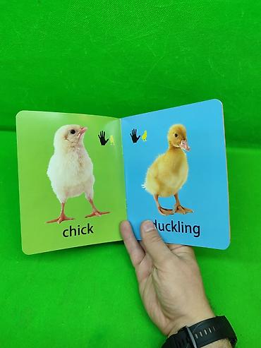 Детские книги: Книги для английском языке для развития ребенка📚 Комплектация товара — 3