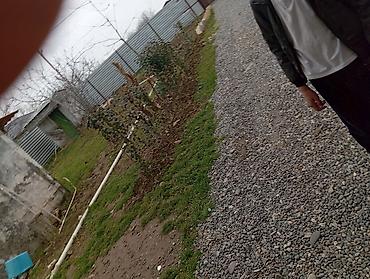 Həyət evləri və villaların satışı: 6 otaqlı, 680 kv. m, Kredit yoxdur, Orta təmir — 8