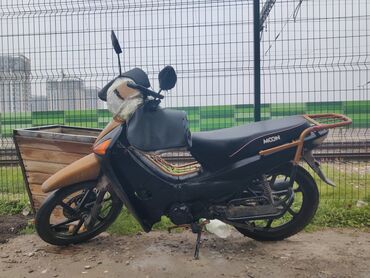 moto godəkcə: Moto kimat 800 model 2022