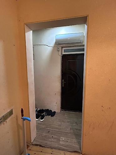 1 комната квартира снять: Пос. Говсаны 1 комната, 60 м², Свежий ремонт — 4