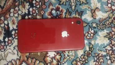 айфон хr цена в бишкеке: IPhone Xr, Кызыл