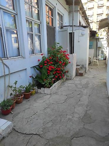 dus basligi: Kompakt sanitar qovşaq – duş, unitaz və əl-üz yuma lavabosu ilə - Duş — 4
