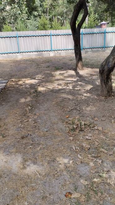 Продажа домов: Дом, 100 м², 2 комнаты, Собственник — 8