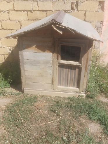 Taxta it evi / dam - Material: qalın taxta karkas, taxta obşivka - lalafo.az -da — 3 Taxta it evi / dam - Material: qalın taxta karkas, taxta obşivka - — 3