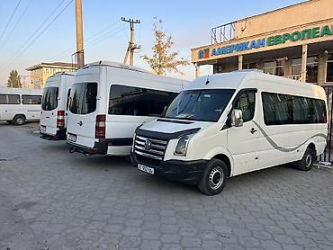 Пункт назначения: Аэропорт Манас, Количество мест: 19, Лицензия №: 08В006490