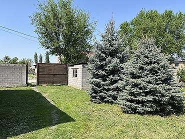 Продажа коттеджей и домов: Дом с кадастровым планом - Площадь по документам: 15 200 кв - Форма — 9