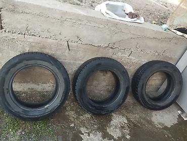 резина на питбайк: Комплект зимних шин Dunlop Winter Maxx 01 - Размер: 195/65 R15 - — 4