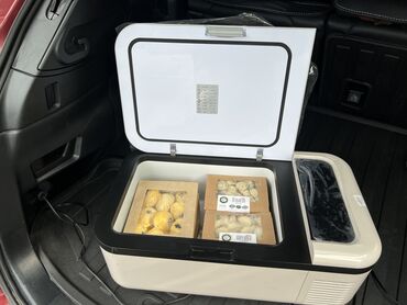 купить бензонасос на ланос 1 5: Авто-холодильник, работает от прикуривателя. Очень удобен и мобилен