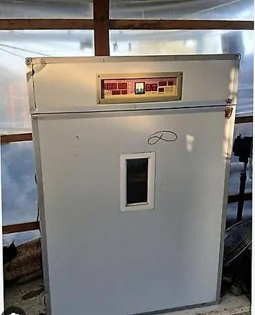 hava kompressorlar: Quş yumurtaları üçün avtomatik inkubator və benzinli generator dəsti — 1