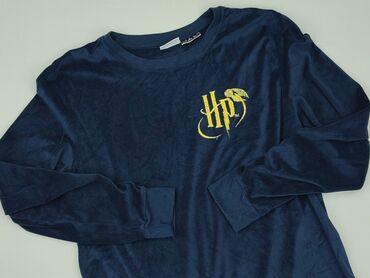 sweter harry potter: Bluza dla mężczyzn, XL, Harry Potter, stan - Bardzo dobry