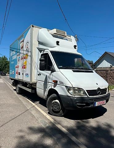 eafc 25: Легкий грузовик, Mercedes-Benz, Стандарт, Б/у — 3