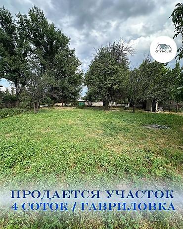 Земельные участки: 4 соток, Для строительства, Договор купли-продажи, Красная книга — 1