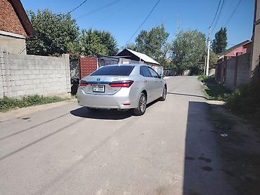 levin corolla: Toyota Corolla: 2019 г., 1.8 л, Вариатор, Бензин, Седан — 4