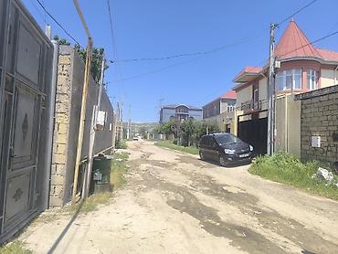 berde: 10 sot, Tikinti, Kupça (Çıxarış) — 4