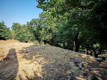 Hazır biznes: 🔥 TƏCİLİ SATILIR – HAZIR ÇÖRƏK DAĞITIM BİZNESİ + 10 SOT TORPAQ — 5