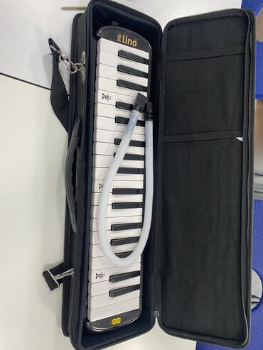 электронное пианино бишкек: Lino турецкий детский духовой инструмент, качественный