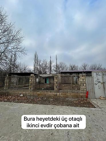 car parking maşın satışı: Herkese salam hazir biznes ucun ferma. Yerlesir İmislinin Telişli — 7