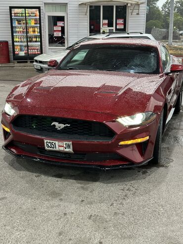 купить глобус бар: Ford Mustang: 2018 г., 2.3 л, Автомат, Бензин, Купе
