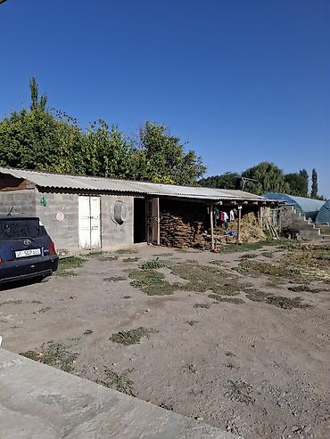 место отдыха: Продается дом! Московский район село Петровка. На первой линии вдоль — 5