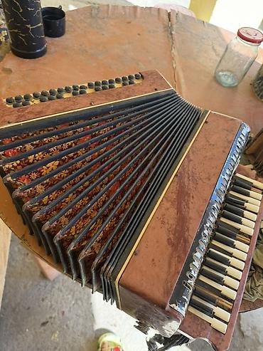 akkardion: Harmonik/akkordeon dəstləri - Alət tipi: dilçəkli harmonika — 4