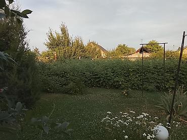 3: ✨🏡 Продается участок с небольшим домом в Бишкеке (жилмассив Маевка) — 1