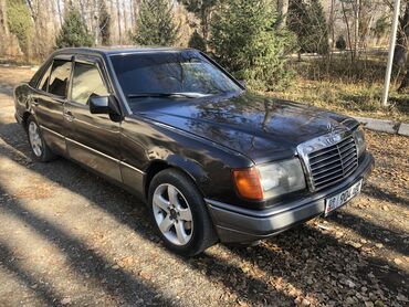 Mercedes-Benz: Mercedes-Benz W124: 1989 г., 2.3 л, Механика, Бензин, Седан