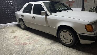 Mercedes-Benz: Mercedes-Benz W124: 1991 г., 2.3 л, Механика, Бензин, Седан