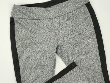 Sweatpants: Sweatpants, 4F, L (EU 40), condition - Very good