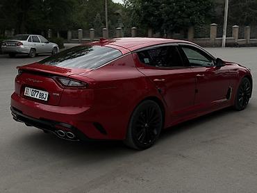 есть варианты: Kia Stinger: 2019 г., 2 л, Автомат, Бензин, Хэтчбэк — 8