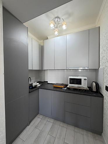 flat osh: 2 комнаты, 65 м², Мед Академия Элитка, 10 этаж, Евроремонт — 4