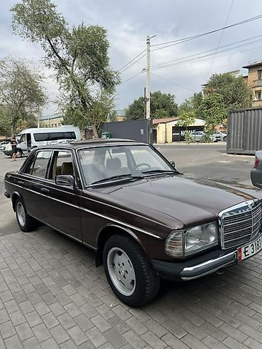 мерседес бенц зайчик: Mercedes-Benz W123: 1984 г., 2 л, Механика, Бензин, Седан — 1