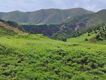 Пассажирский бус на заказ: Пассажирский микроавтобус Mercedes‑Benz Sprinter (длинная база — 13