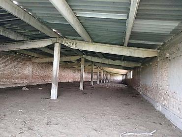 ферма скотник: Farm КРС, 50 соток, Действующий, Без оборудования, Электричество, Холодная вода — 8