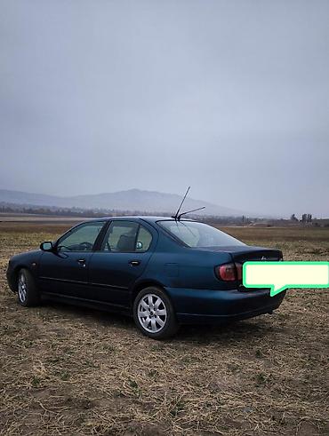 235 2f55 2f20: Nissan Primera: 2000 г., 2 л, Механика, Бензин, Седан — 6