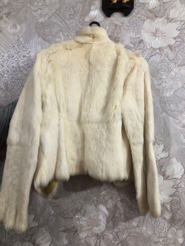 Kurtkalar: Dəri kurtka, S — 8