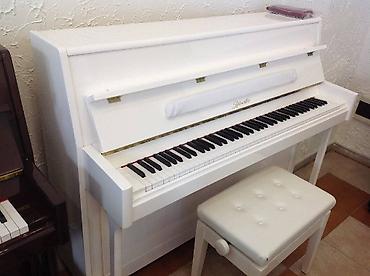 fort salon: Piano, Ritmüller, Akustik, Yeni, Pulsuz çatdırılma — 4