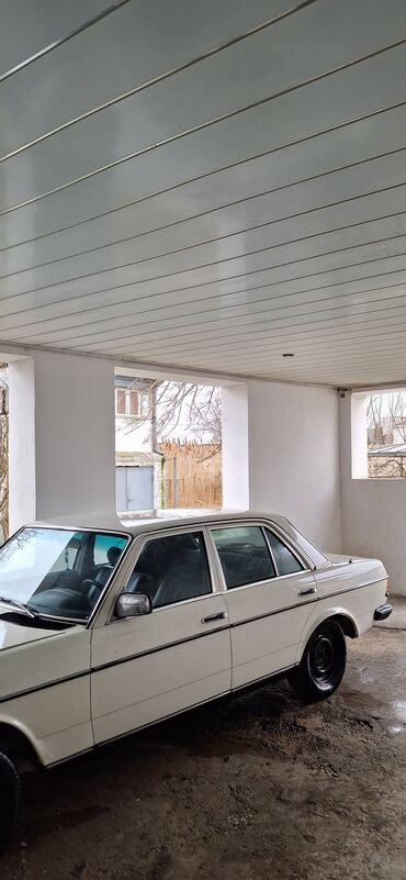 Mercedes-Benz: Mercedes-Benz 250: 2.5 l | 1981 il Sedan — 4