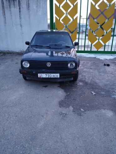 Volkswagen: Volkswagen Golf: 1990 г., 1.8 л, Механика, Бензин, Хэтчбэк