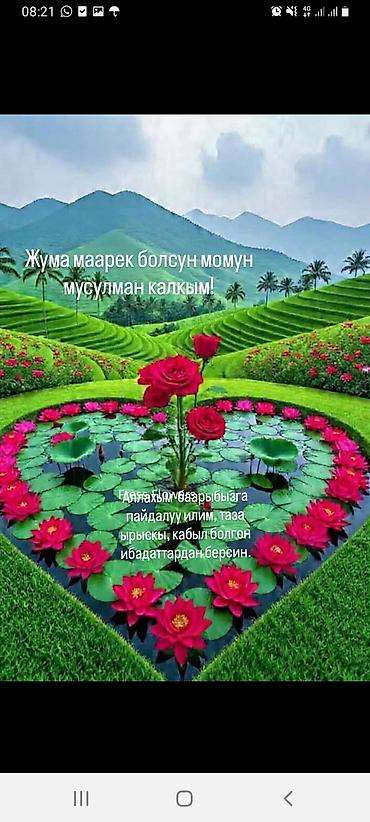 Прямые диваны: Прямой диван — 1