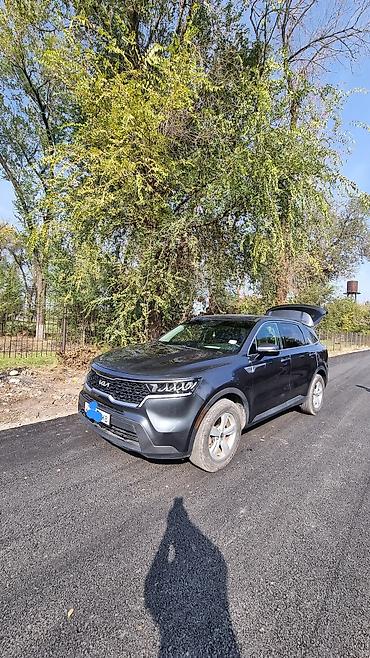 2022: Kia Sorento: 2022 г., 2.5 л, Автомат, Бензин, Кроссовер — 4