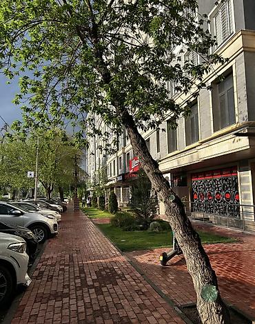 Долгосрочная аренда квартир: 📍Филармония Калык Акиева-Фрунзе ЖК «Мурас» 💰70,000 сом Депозит — 13