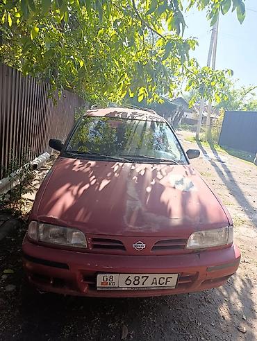toyota prius 2006: Nissan Primera: 1996 г., 1.6 л, Механика, Бензин, Универсал — 2