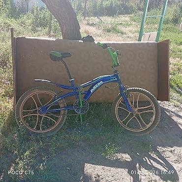 Унаа: Өспүрүм балдар үчүн велосипед, Колдонулган — 1