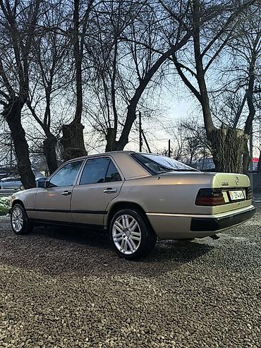 Mercedes-Benz: Mercedes-Benz W124: 1988 г., 2.3 л, Механика, Бензин, Седан — 8