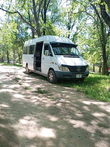 Транспорт: Пассажирские микроавтобусы Mercedes-Benz Sprinter для перевозок — 4
