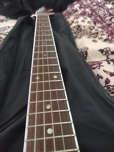 trek marlin 4: Elektrik gitara – Jolana Tornado, yarı boş (semi-hollow) korpuslu — 2