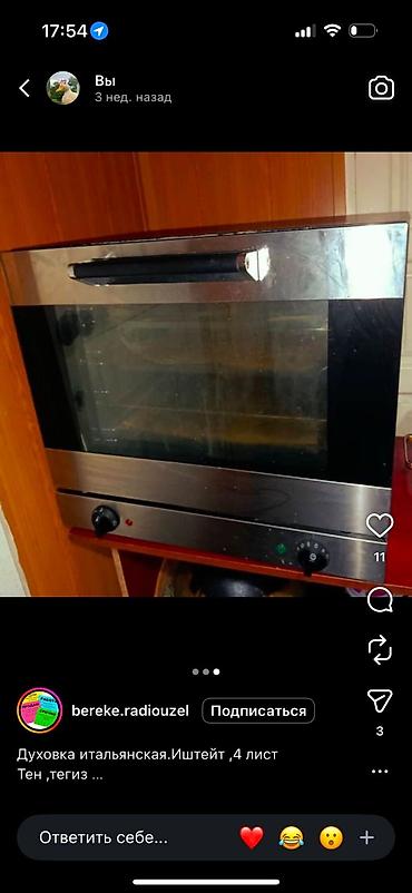 16 pro max iphone: Итальянская духовка для встраивания. Характеристики: - Формат — 1
