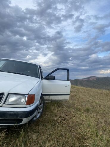 Audi: Audi 100: 1991 г., 2.3 л, Механика, Газ, Седан — 1