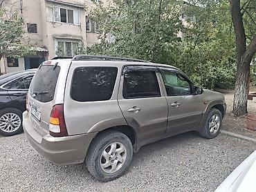 Mazda Tribute: 2001 г., Механика, Кроссовер